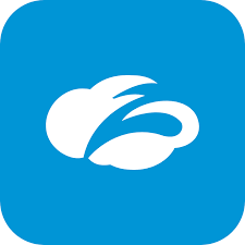 company logo